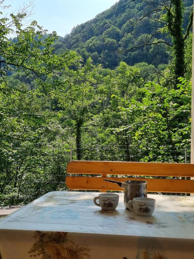 Glamping House ˇvitaˇ Hotel โทลมิน ภายนอก รูปภาพ